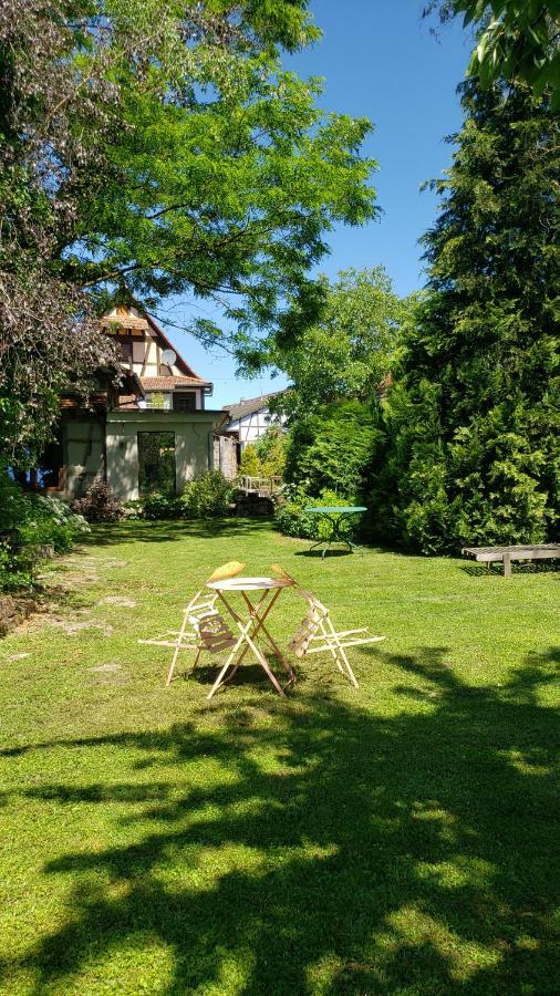Gite A La Petite Fontaine-Plain Pied-Maison Alsacienne Renovee Avec Passion-4 Pers-4Nuitees Minimum Langensoultzbach Kültér fotó
