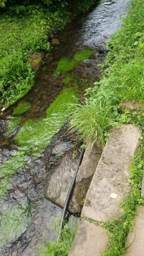 Gite A La Petite Fontaine-Plain Pied-Maison Alsacienne Renovee Avec Passion-4 Pers-4Nuitees Minimum Langensoultzbach Kültér fotó