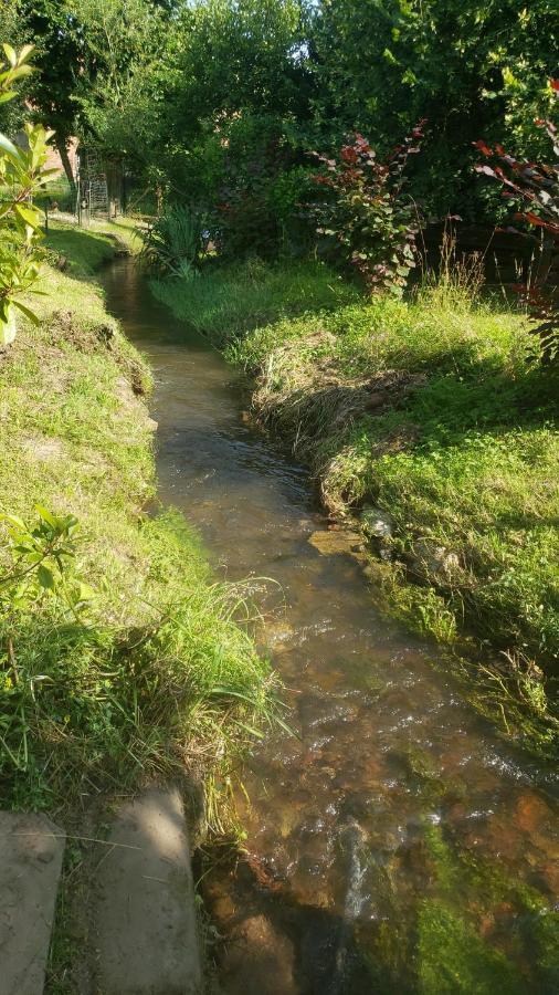 Gite A La Petite Fontaine-Plain Pied-Maison Alsacienne Renovee Avec Passion-4 Pers-4Nuitees Minimum Langensoultzbach Kültér fotó