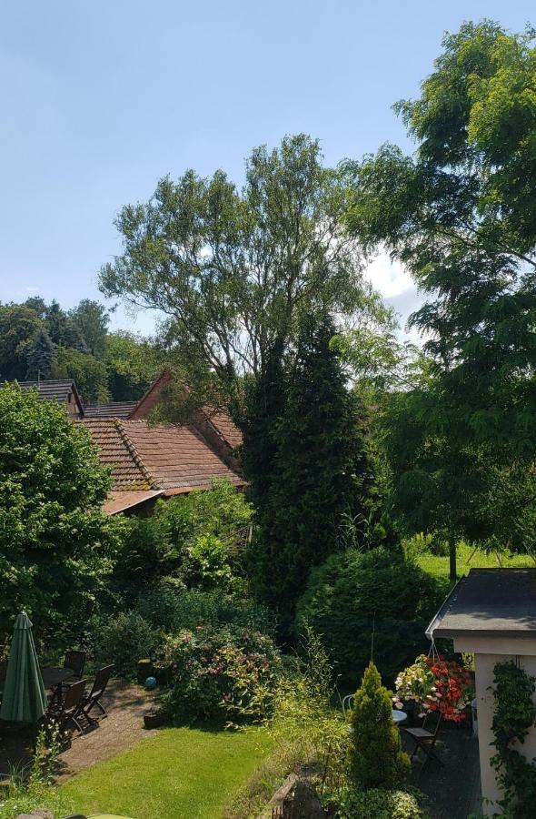 Gite A La Petite Fontaine-Plain Pied-Maison Alsacienne Renovee Avec Passion-4 Pers-4Nuitees Minimum Langensoultzbach Kültér fotó