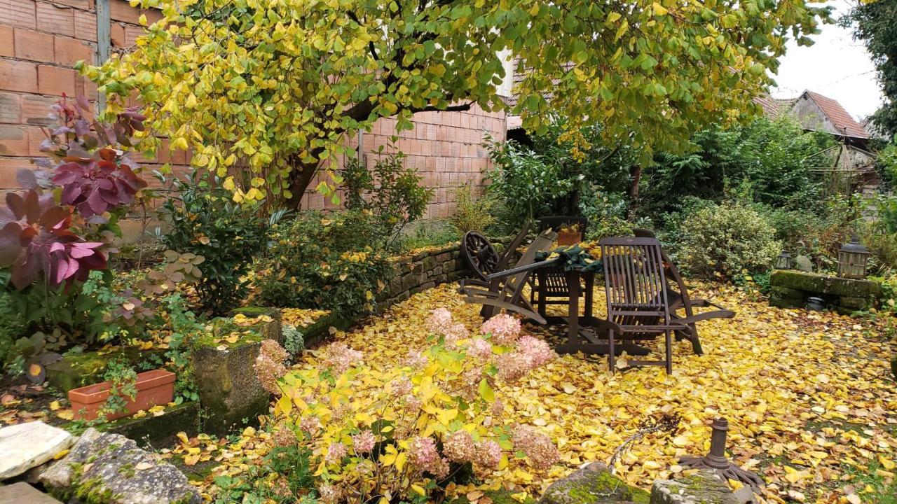 Gite A La Petite Fontaine-Plain Pied-Maison Alsacienne Renovee Avec Passion-4 Pers-4Nuitees Minimum Langensoultzbach Kültér fotó