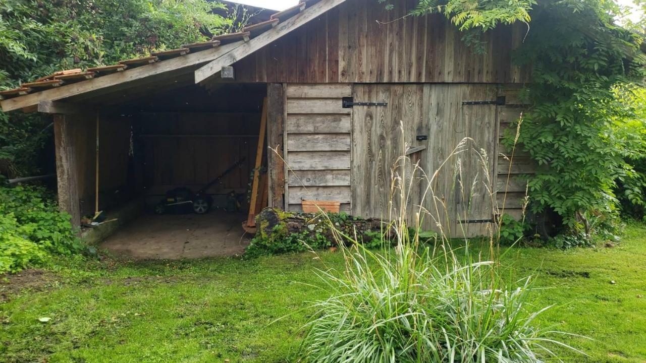 Gite A La Petite Fontaine-Plain Pied-Maison Alsacienne Renovee Avec Passion-4 Pers-4Nuitees Minimum Langensoultzbach Kültér fotó