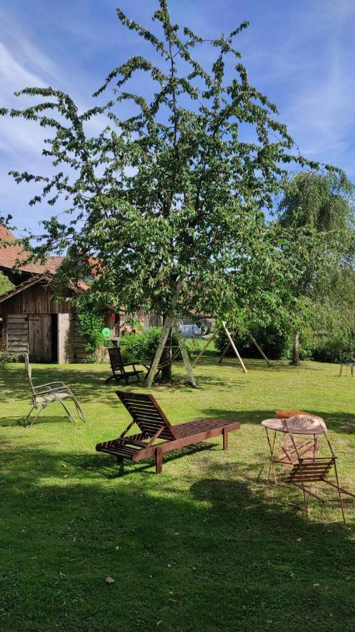 Gite A La Petite Fontaine-Plain Pied-Maison Alsacienne Renovee Avec Passion-4 Pers-4Nuitees Minimum Langensoultzbach Kültér fotó