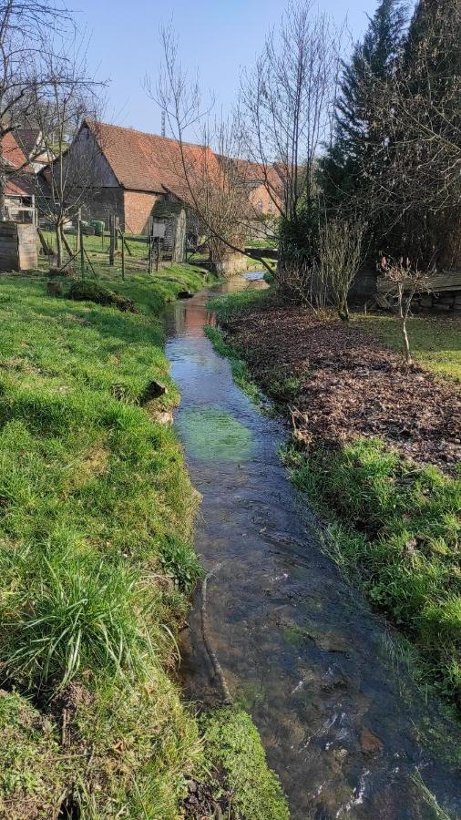 Gite A La Petite Fontaine-Plain Pied-Maison Alsacienne Renovee Avec Passion-4 Pers-4Nuitees Minimum Langensoultzbach Kültér fotó